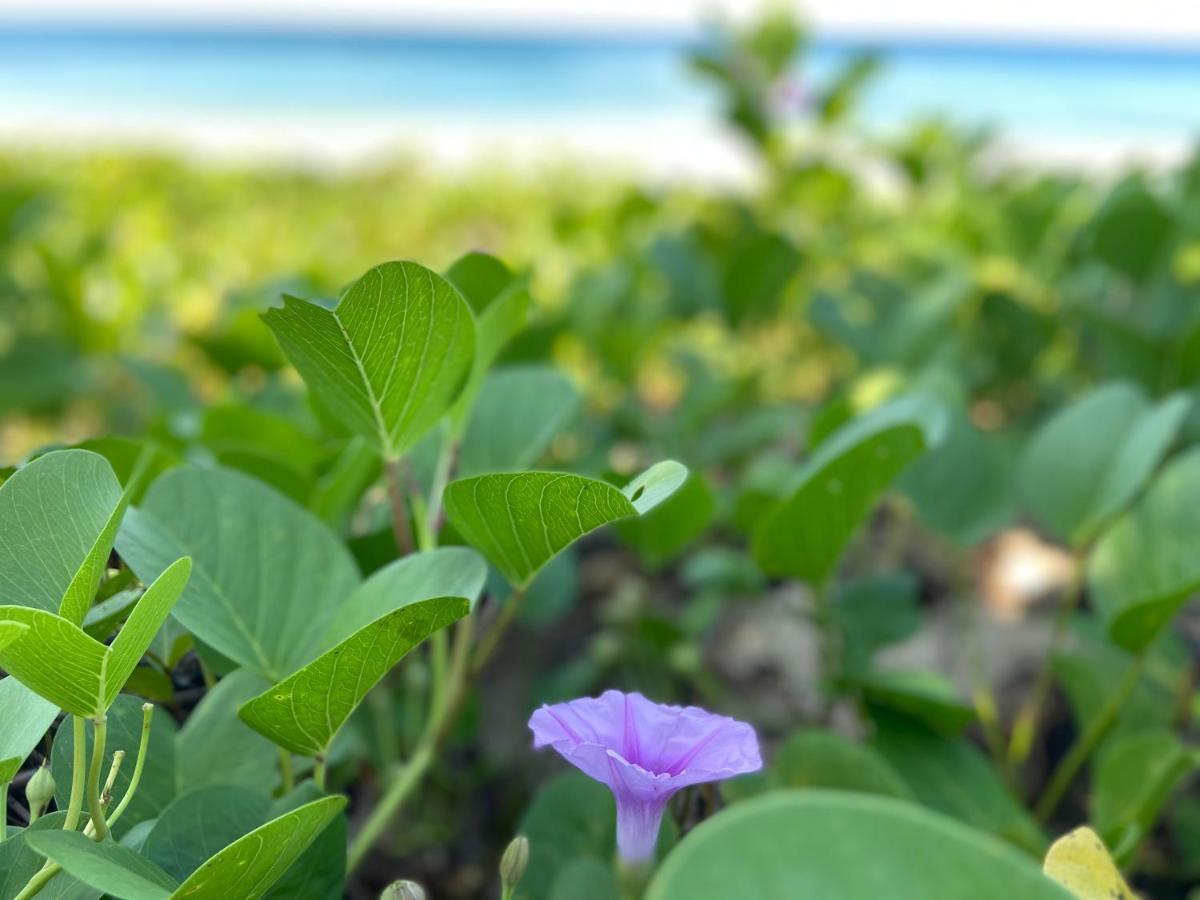 Lanta Smile Inn Ko Lanta Kültér fotó